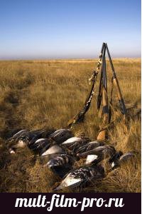 Открытие охоты на гусей. Канада. Часть 2