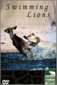 Плавающие львы. Фильм Animal Planet