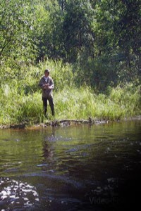 Рыбалка на малых реках Ленинградской области