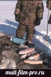 Охота и рыбалка за полярным кругом
