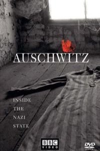 Аушвиц : взгляд на нацизм изнутри